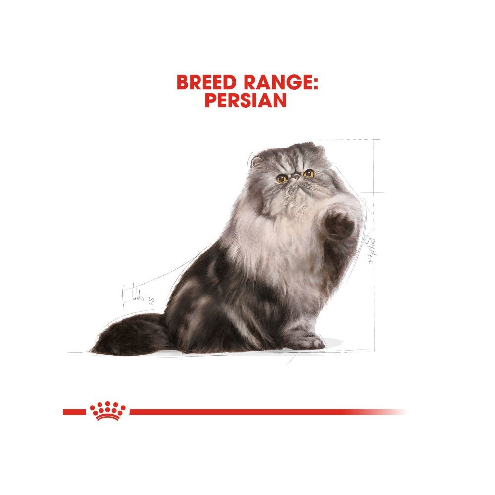 ROYAL CANIN PERSIAN ADULT 10KG DRY CAT FOOD image 5