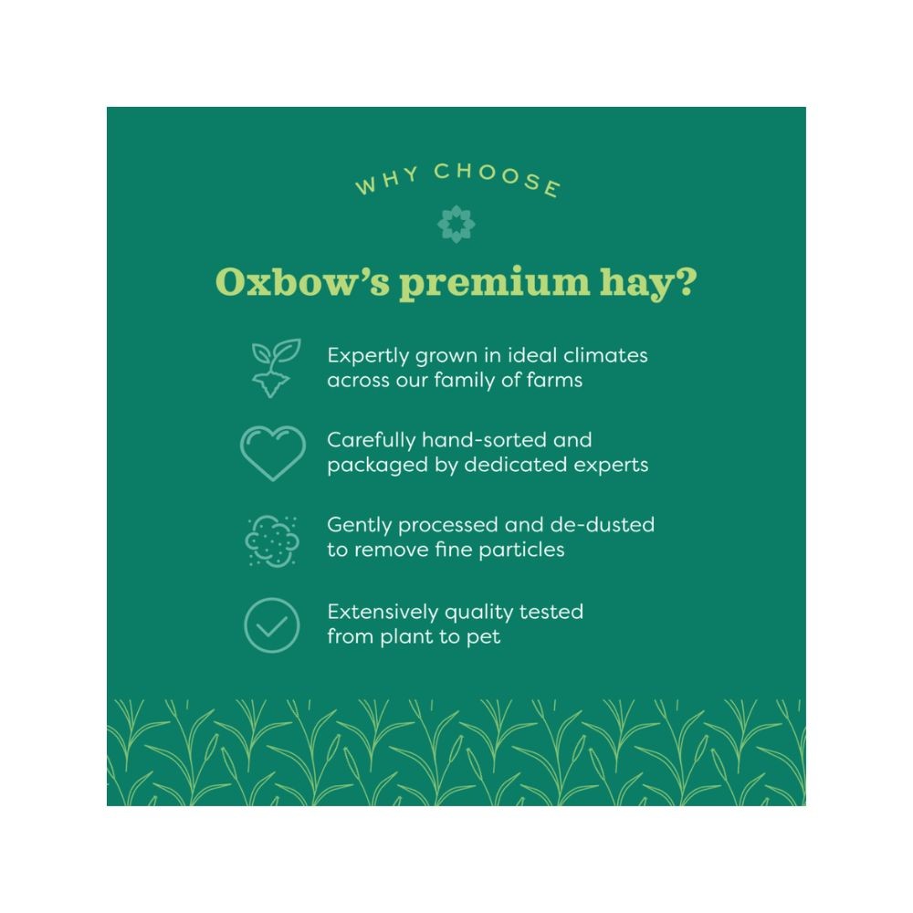 OXBOW WESTERN TIMOTHY HAY 1.13KG 40OZ image 3