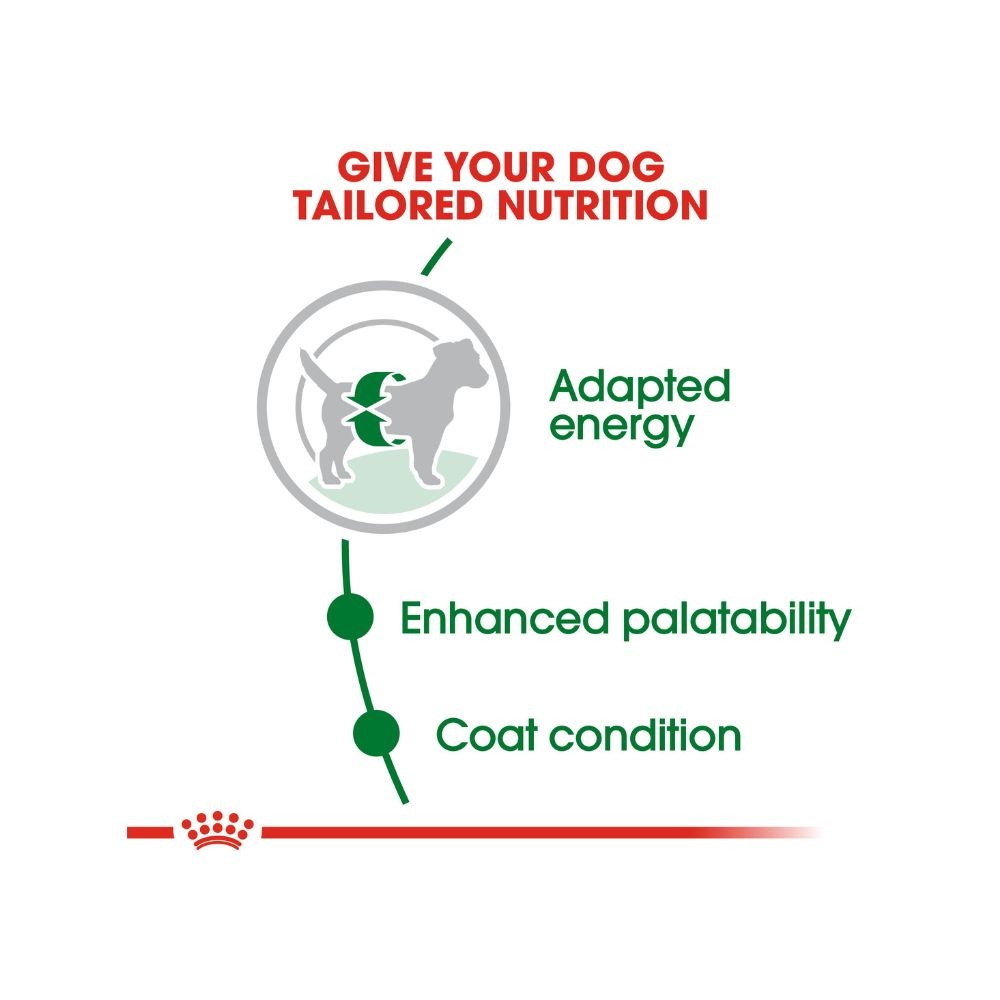 ROYAL CANIN MINI ADULT 4KG DRY DOG FOOD image 2