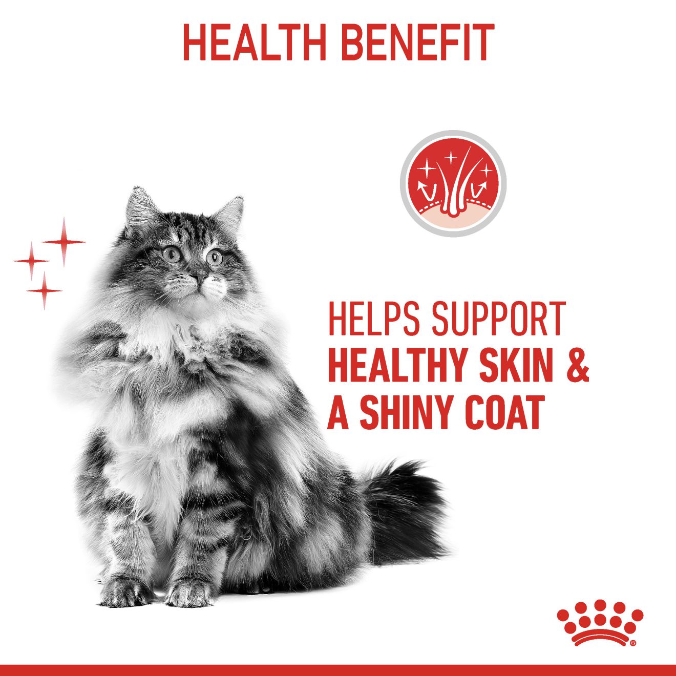 ROYAL CANIN HAIR & SKIN 33 10KG DRY CAT FOOD image 7