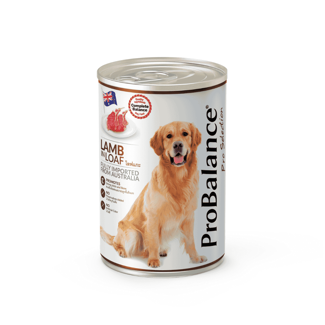 PROBALANCE 700G IN LOAF WET DOG FOOD image 4