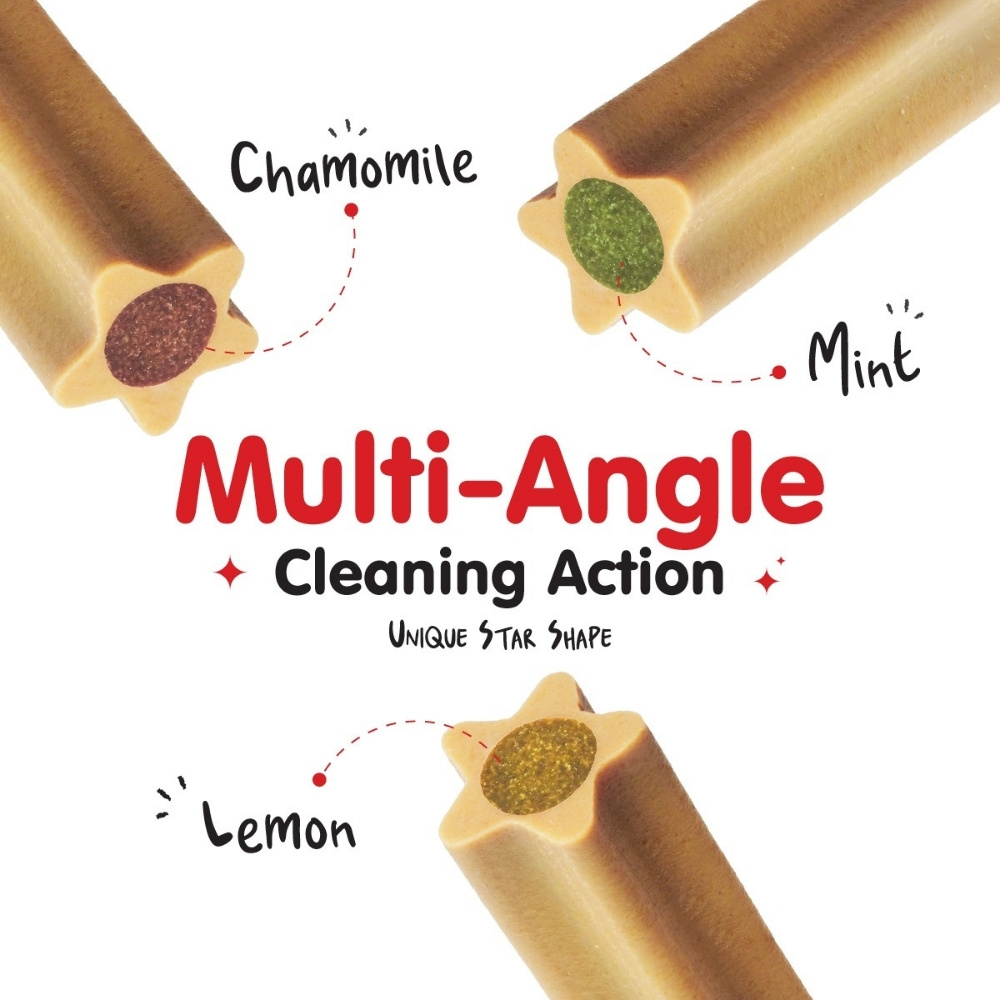 PROBALANCE MUNCHIEZZ 100G DENTAL STICK CHAMOMILE DOG SNACK image 2