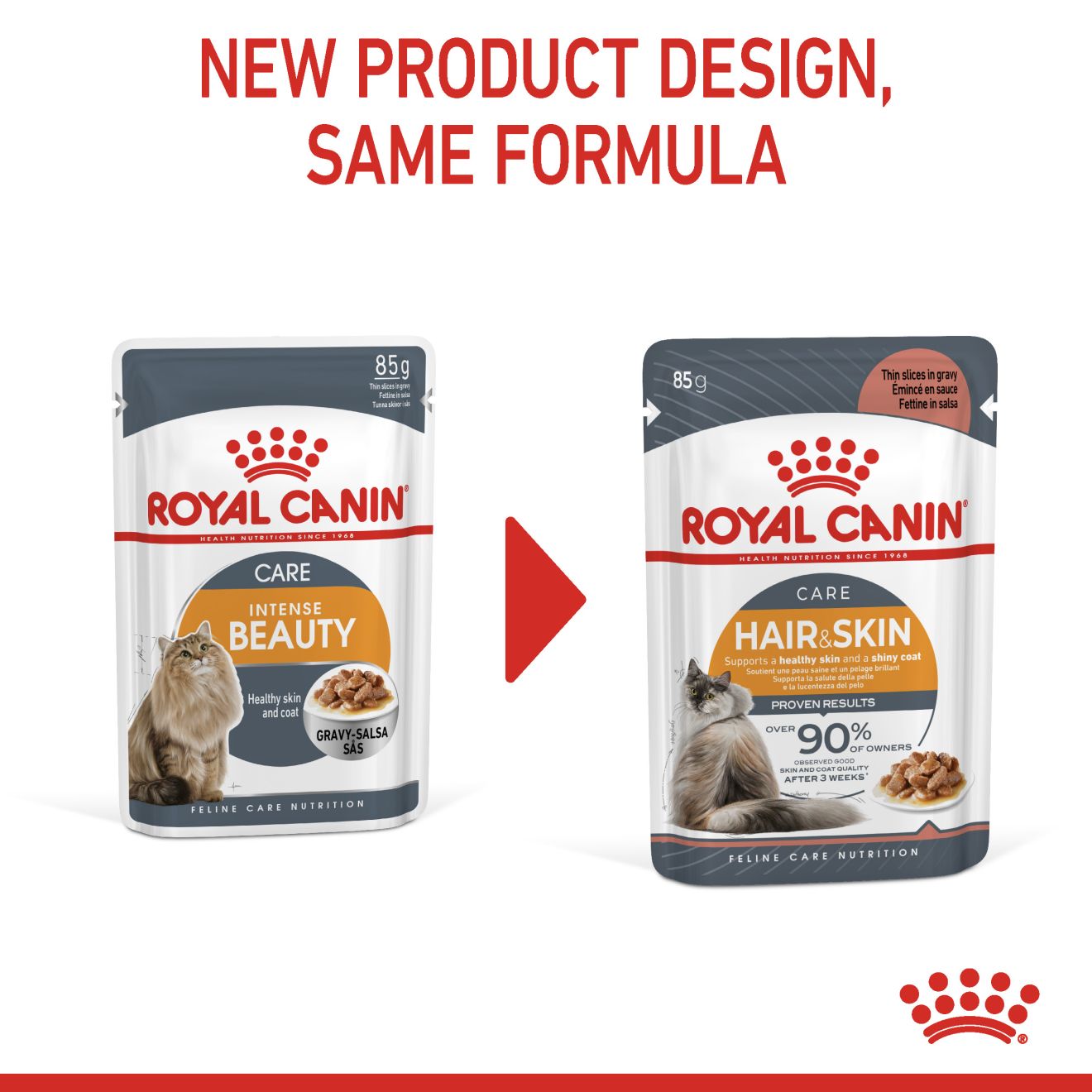 ROYAL CANIN WET HAIR & SKIN POUCH 85G WET CAT FOOD image 2