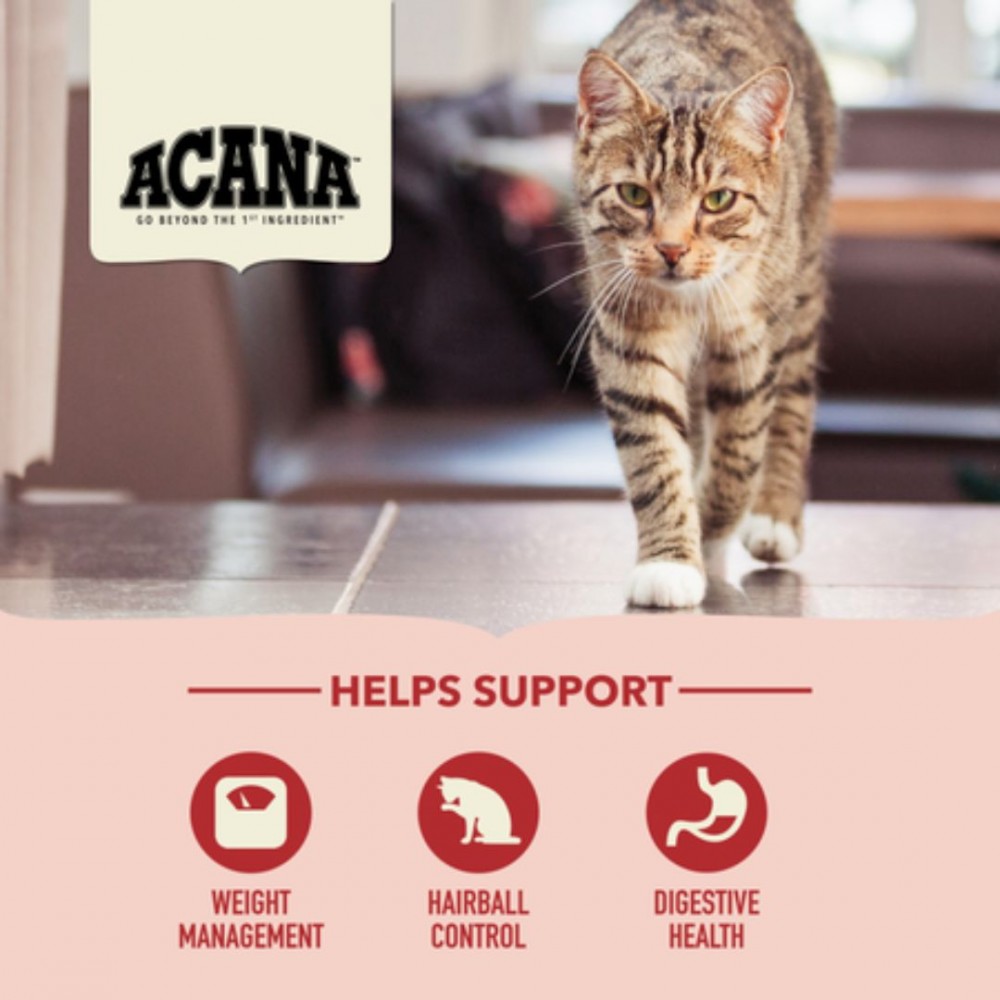 ACANA CAT 340G INDOOR ENTREE DRY CAT FOOD image 5