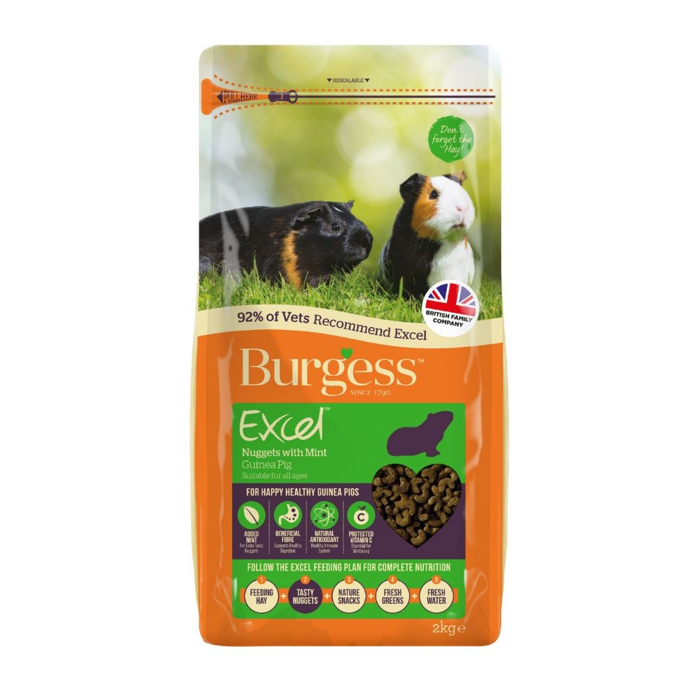 BURGESS 2KG EXCEL ADULT GUINEA PIG NUGGETS WITH MINT image 2