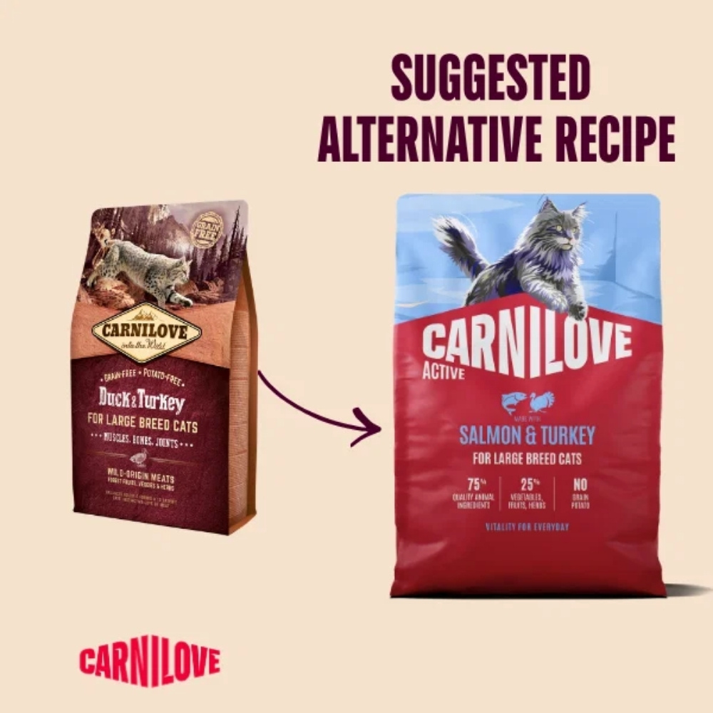 CARNILOVE CAT 400G SALMON & TURKEY ADULT LARGE BREED DRY CAT FOOD image 9